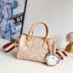 Louis Vuitton Fashion Bag
