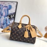 Louis Vuitton Fashion Bag