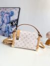 Louis Vuitton Fashion Bag