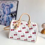 Louis Vuitton Fashion Bag