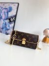 Louis Vuitton Fashion Bag