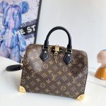 Louis Vuitton Fashion Bag