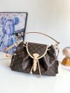 Louis Vuitton Fashion Bag