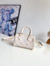 Louis Vuitton Fashion Bag