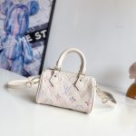 Louis Vuitton Fashion Bag