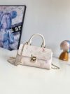 Louis Vuitton Fashion Bag