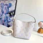 Louis Vuitton Fashion Bag
