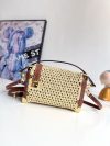 Louis Vuitton Fashion Bag