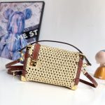 Louis Vuitton Fashion Bag