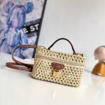 Louis Vuitton Fashion Bag