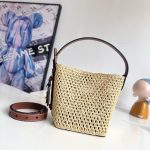 Louis Vuitton Fashion Bag
