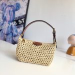 Louis Vuitton Fashion Bag