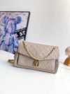 Louis Vuitton Fashion Bag