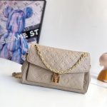 Louis Vuitton Fashion Bag