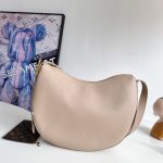 Louis Vuitton Fashion Bag