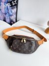 Louis Vuitton Fashion Bag