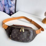 Louis Vuitton Fashion Bag