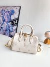 Louis Vuitton Fashion Bag