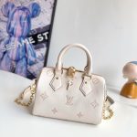Louis Vuitton Fashion Bag