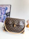 Louis Vuitton Fashion Bag