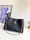 Louis Vuitton Fashion Bag