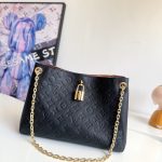 Louis Vuitton Fashion Bag