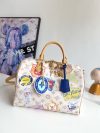 Louis Vuitton Fashion Bag