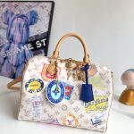 Louis Vuitton Fashion Bag