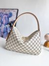 Louis Vuitton Fashion Bag