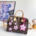 Louis Vuitton Fashion Bag