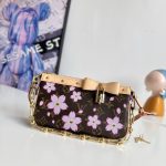 Louis Vuitton Fashion Bag
