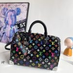 Louis Vuitton Fashion Bag