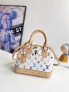Louis Vuitton Fashion Bag