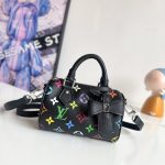 Louis Vuitton Fashion Bag