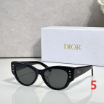 Dior Fashion Sunglasses