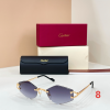 Cartier Fashion Sunglasses