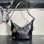 Dior Fashion Bag