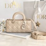 Dior Fashion Bag