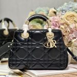 Dior Fashion Bag