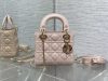 Dior Fashion Bag