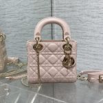 Dior Fashion Bag