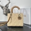 Dior Fashion Bag