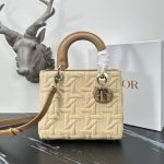 Dior Fashion Bag