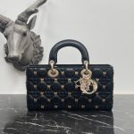 Dior Fashion Bag