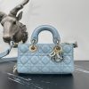Dior Fashion Bag