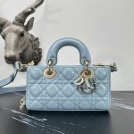 Dior Fashion Bag