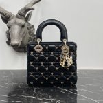 Dior Fashion Bag