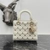 Dior Fashion Bag - Image 3