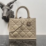 Dior Fashion Bag
