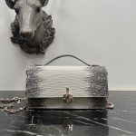 Dior Fashion Bag